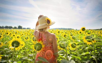 Itt a hőségriadó szerdára, pokoli forróság önti el az országot