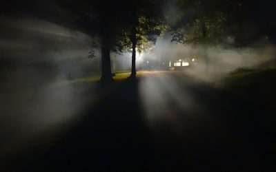 Valami kopogtatni kezdett a falon