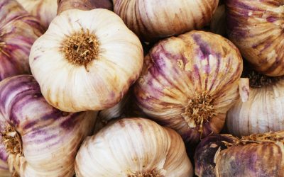 Nagyanyáink multivitaminja: Minden, amit a gyógyító fokhagymáról tudni kell