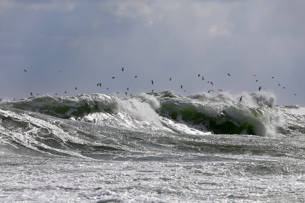 waters-3307520_1280