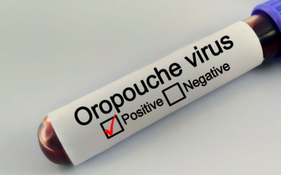 Születési rendellenességet okoz az újabb vírus, amely Európát fenyegeti