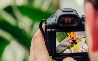 A természet és az ember kapcsolatát mutatja be a FotoKozma nemzetközi fotófesztivál