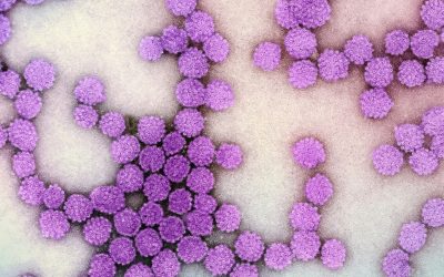 HPV: Tévhit, hogy nincs gyógymód! Új megoldások a gyógyulásért